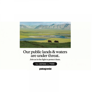 PICMO MONTHLY REEL (11)